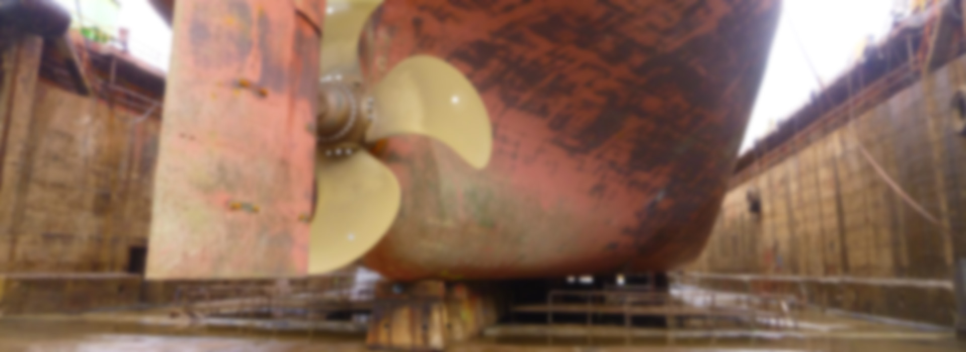 AMS360_1920x700-03